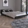 Black Color