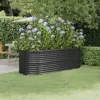 Anthracite Color