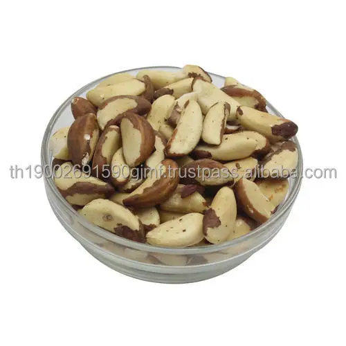 brazil-nut-500x500.jpg