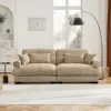 Camel Color