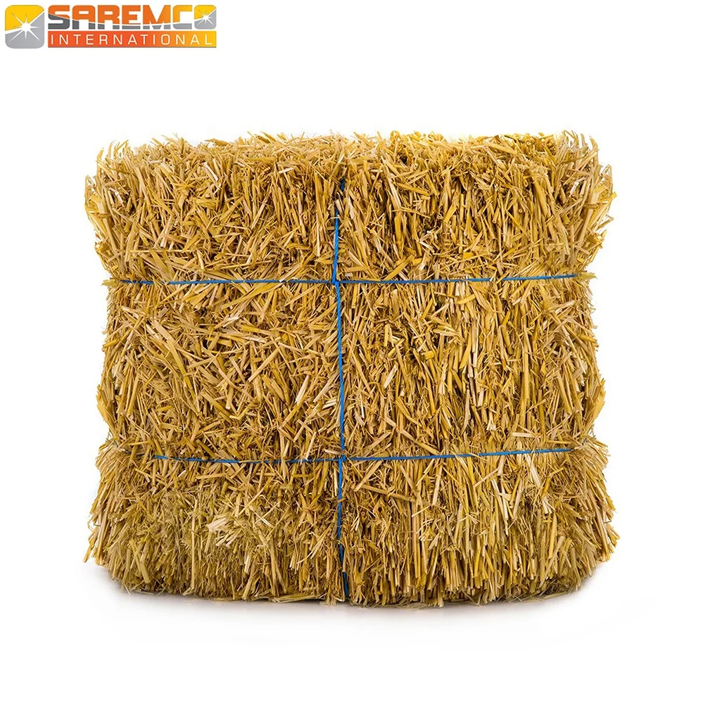 Rice 스탄에서 한국까지 쌀 짚 건초의 최고 공급 업체/최고 공급 업체 - Buy 수출을위한 쌀 짚 최고의 품질 베일,쌀 건초 ...