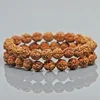 Rudraksha
