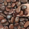 marron 38lbs Couleur