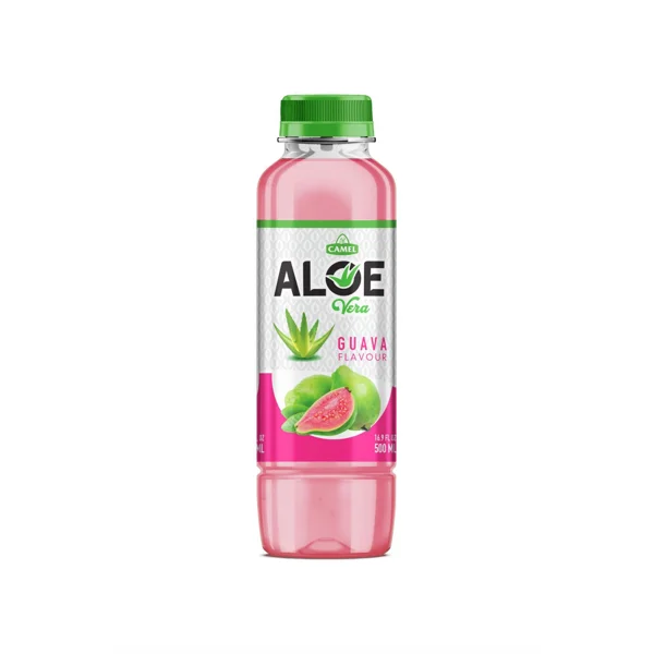 aloe vera pflanze pflanzen Aloe Vera Alfonso  Aloe-Vera-Pflanze in Grtnerqualitt kaufen