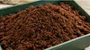 Natural Coir
