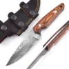 Pakka Wood