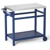 Navy blue Color