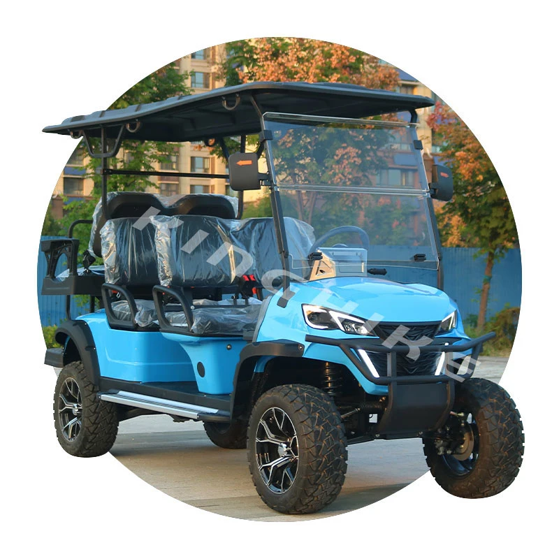 Seater Electric Golf Push Cart Cheap Wholesale Custom Street Legal Lifted Rent 2 4 6 CE 48V Race Car 3m