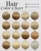 สีของภาพ 1