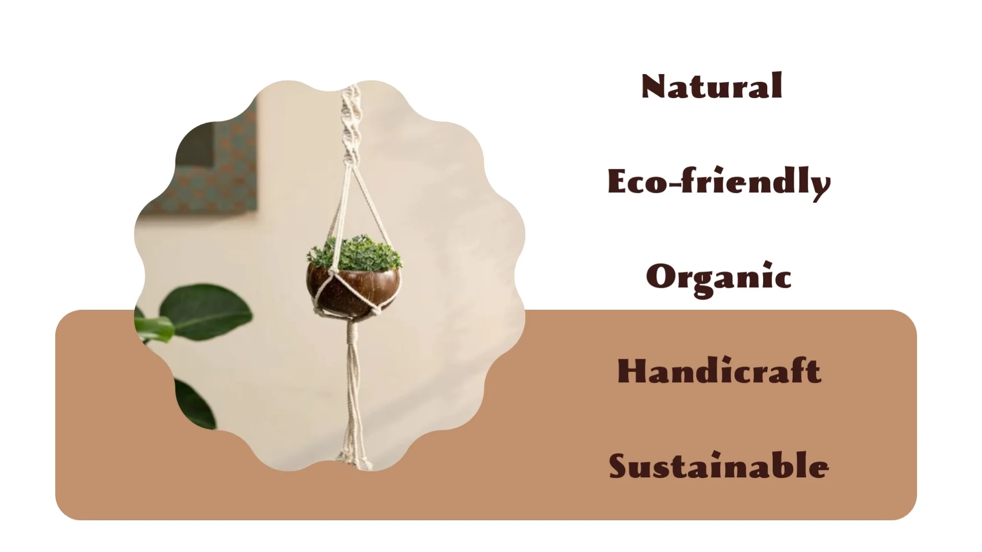 Best Seller 2023 Coconut Shell Hanging Pots For Plants/ Coconut Shell