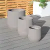 Grey Color