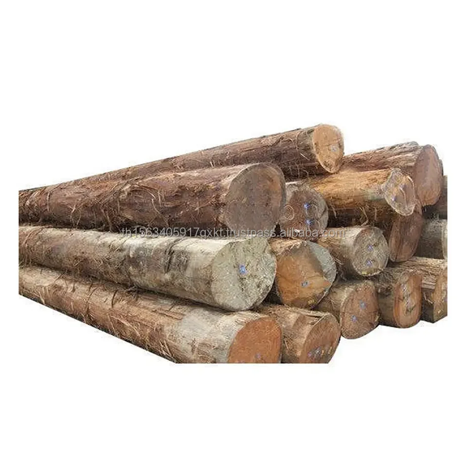 Teak wood log (3).jpg