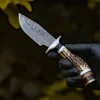 Stag-02