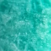 Vert bleuâtre, Vendu au poids (grammes), 12 à 14 pièces par 100g