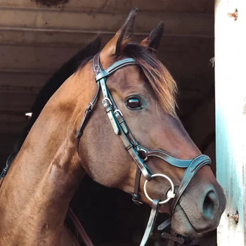 Bride Anglaise Avec Embout Et Rênes - Modèle Snaffle En Cuir