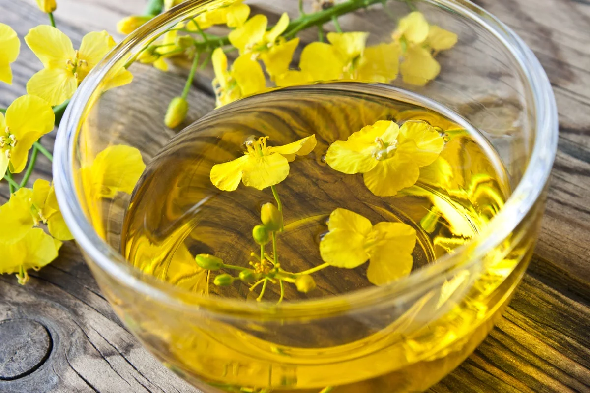 Wholesale Cheap Supplier Hot Selling High Quality 100% Purity Organic ISO Certified Canola Oil Bulk Fast Delivery Buy Now! Top