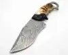 Natural Brown/Tan Horn