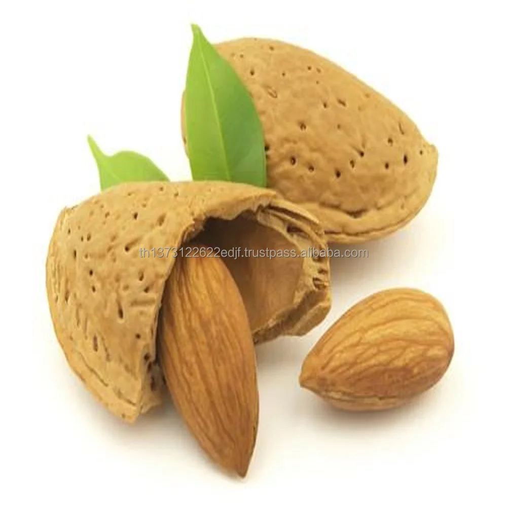 almond-and-leaf-web_grande.jpg