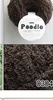 0304 Dark Brown