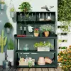 Forest Green Color
