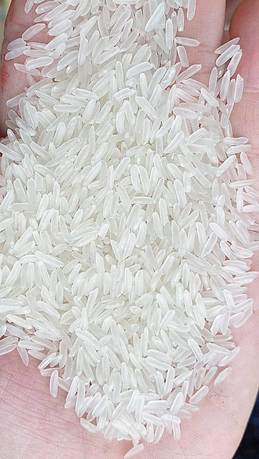 Jasmine Rice Riz Scented Rice Packing 1kg 5kg 10kg 25kg 50lbs Type