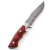 Bolster en argent poli, bois de rose brun/rouge chaud et riche