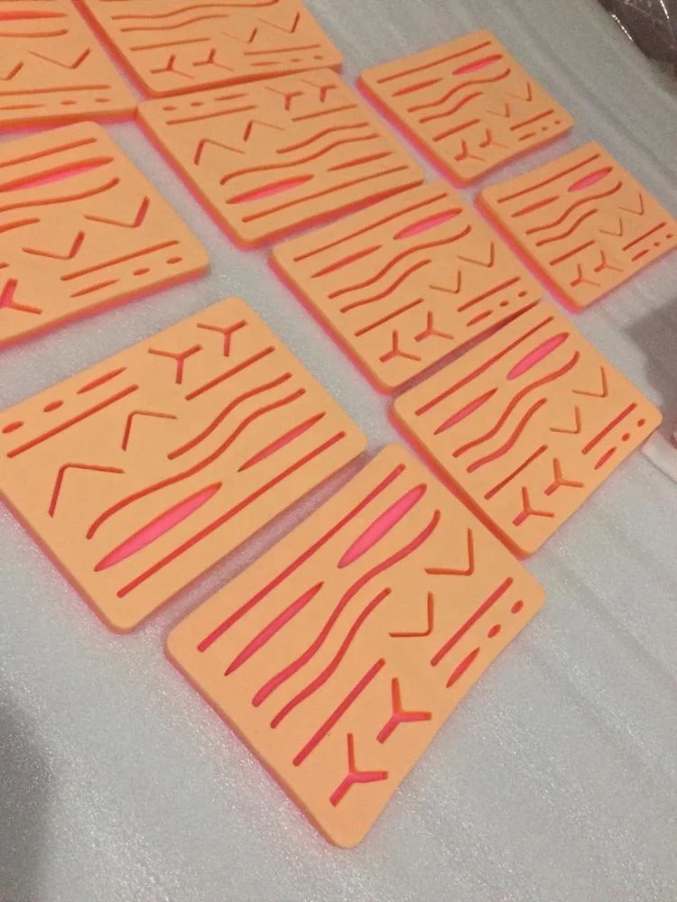 New Edition Suture Skin Pad for Veterinary Students Teaching Resource for Medical Students by Apto Enterprises