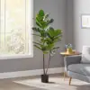 Green Color