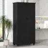 Black Color