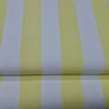 PFGD OVER STRIPE PRINT