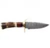 Natural Cream & Brown Stag Antler
