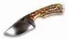 Natural Amber/Cream Horn