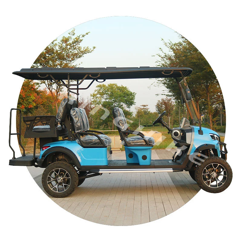 Seater Electric Golf Push Cart Cheap Wholesale Custom Street Legal Lifted Rent 2 4 6 CE 48V Race Car 3m