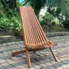 Teak oil Color