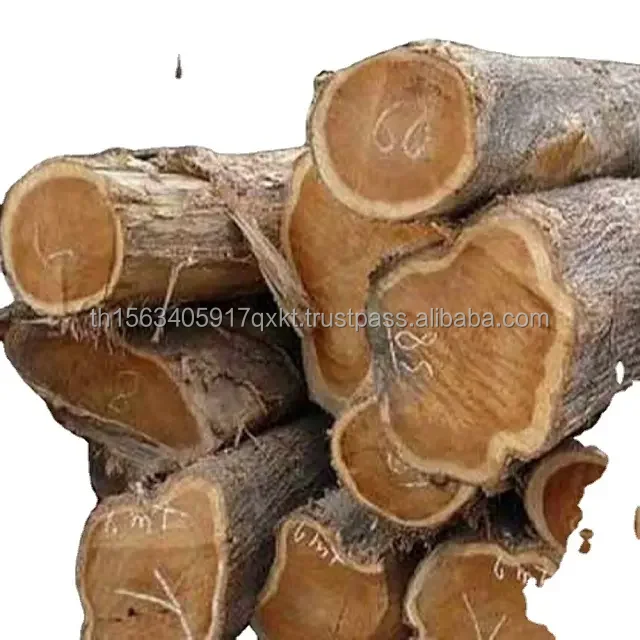 Teak wood log (1).jpg