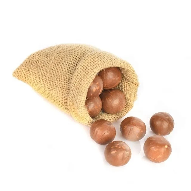 organic products macadamia nut vegan snack bag healthy snack