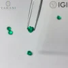 No IGI Certification