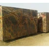 Rain Forest