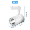 30W White Body