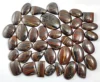Rouge et marron, Vendu au poids (grammes), 15 à 16 pièces pour 100 g