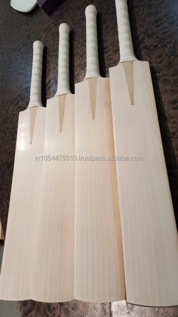 EDITIONAL BAT 3.jpg