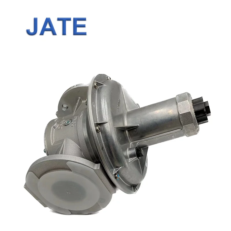 Dungs oder FRNG 507 220969 Rp 3/4 LPG Niederdruck-Gasdruckregler  Druckminderventil Druckluftgesteuerter Druckregler
