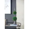 as Pic Color