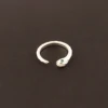 1.Argent