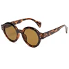 C2: Tortoise/ Brown