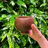 Marrón