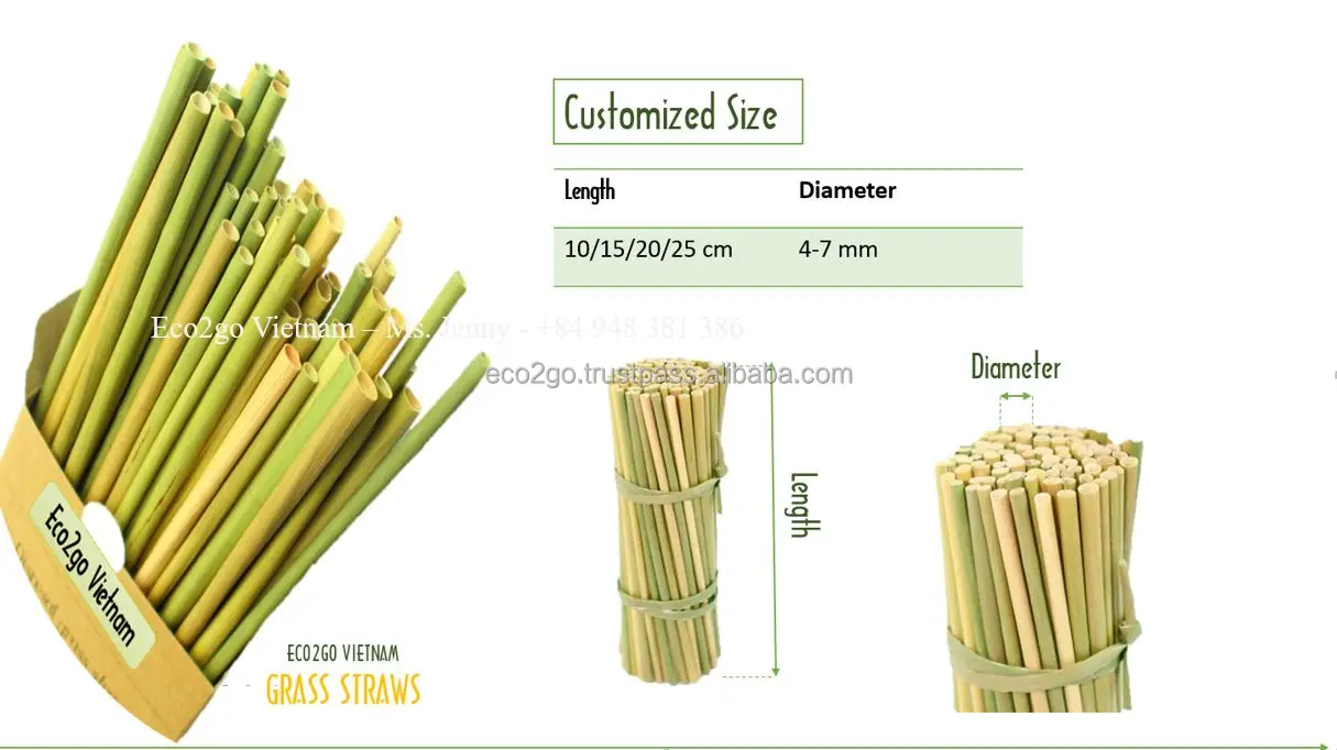 Grass Straws: An Eco-Friendly Product Originated From Vietnam