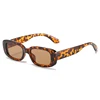 C4: Tortoise/ Brown