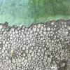 Mélange vert Atlantique