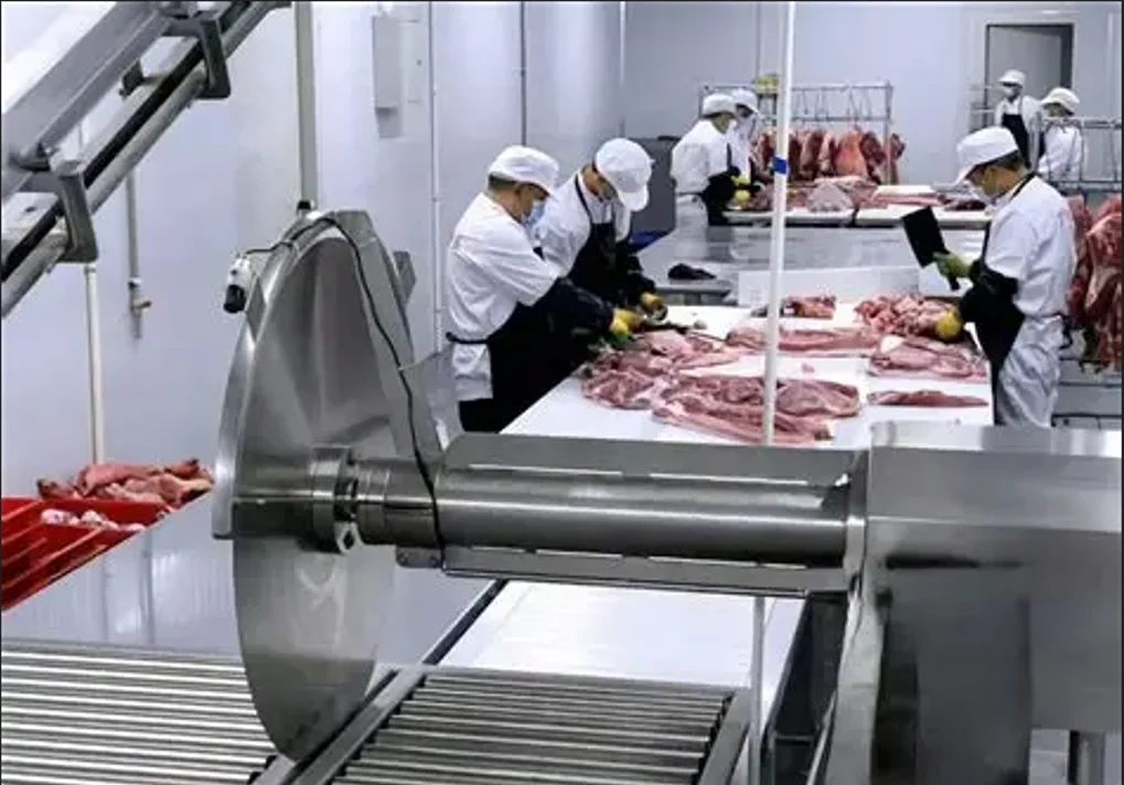 Cattle slaughtering line with complete slaughtering line for cattle butcher